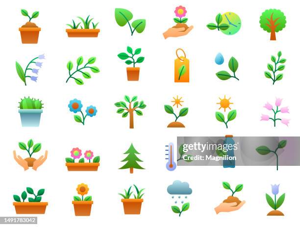 plant & flowers flat gradient icons set - fertilizer stock illustrations