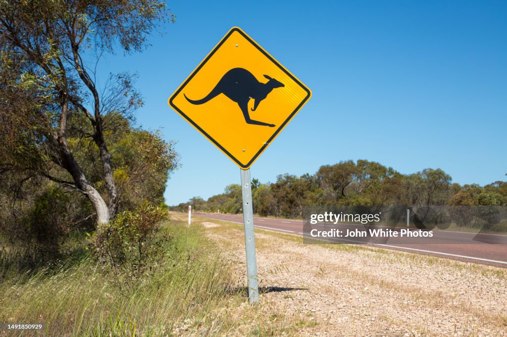 Kangaroo road warning sign on a country road. Eyre Peninsula. South Australia.