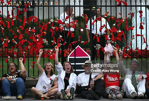 Activists participate in a civil disobedience outside the White House after a march from the Washington Convention Center July 24, 2012 in...