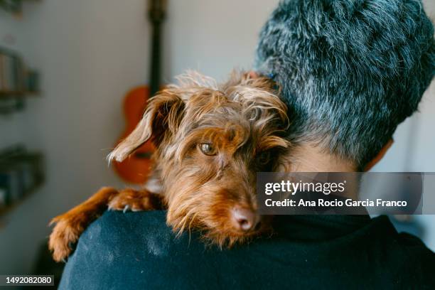 rear view of a young woman hugging her dog - perros fotografías e imágenes de stock