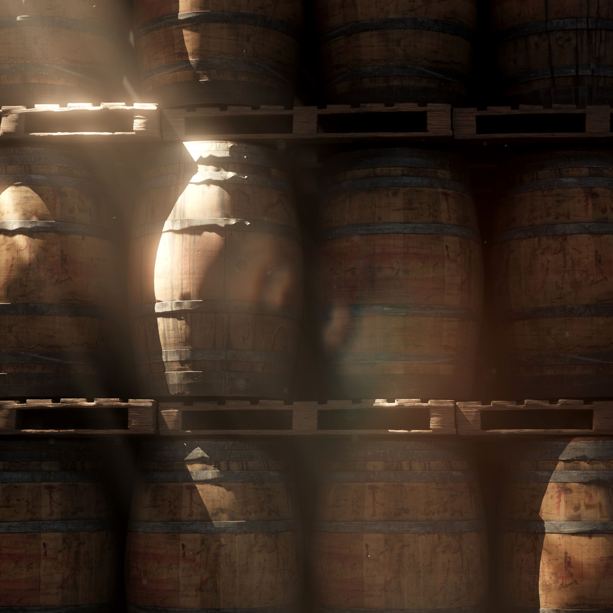 wine cellar