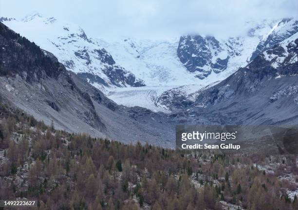 In this aerial view trees grow in a rocky basin, with the receding Morteratsch glacier, once filled completely, seen in the distance on May 21, 2023...
