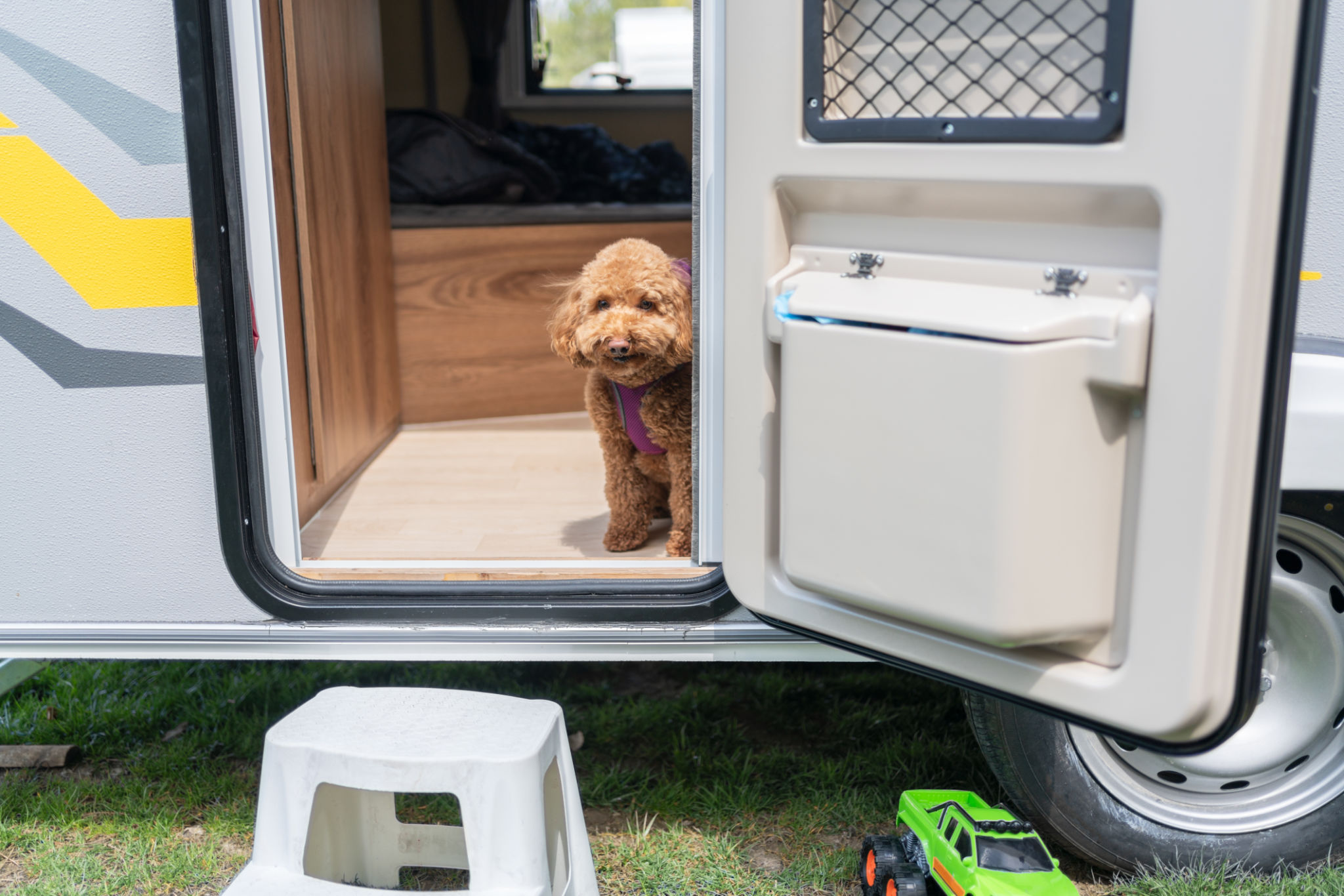 Life İn A Caravan With A Dog Life İn A Caravan With A Dog