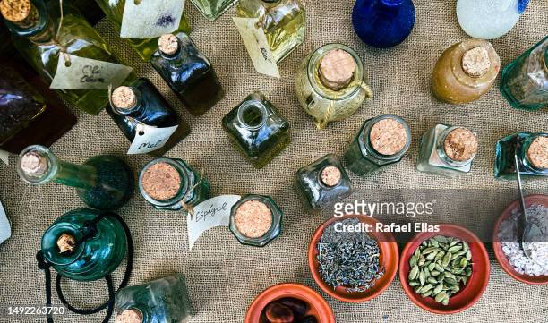 selection of spices, plants and honey - especias stock-fotos und bilder