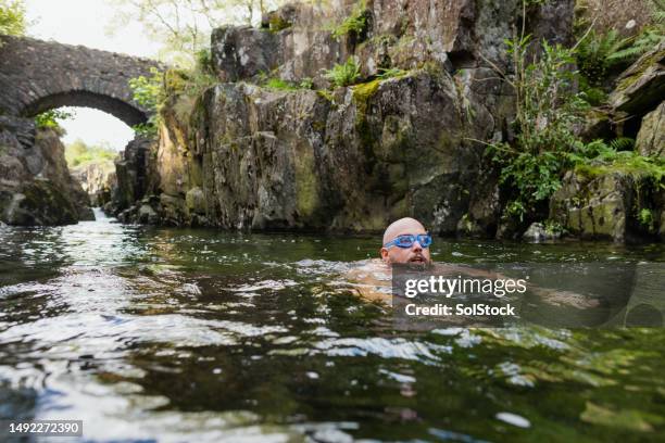 dedicated to the lifestyle - swimming stock pictures, royalty-free photos & images