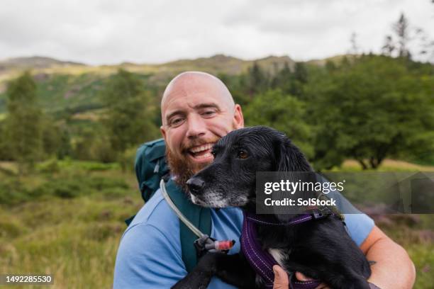 a man's best friend - shaved dog stock pictures, royalty-free photos & images