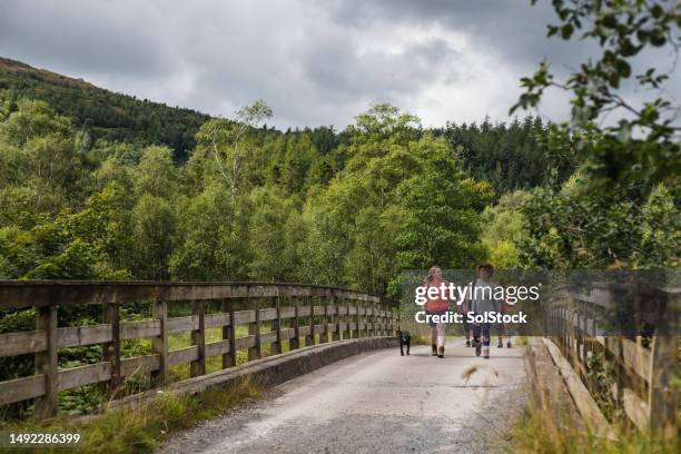 happy hikers - august dog stock pictures, royalty-free photos & images