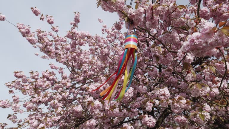 Spring Time Winds 24 Homemade Windchime Stock Videos, Footage, & 4K Video Clips - Getty ...
