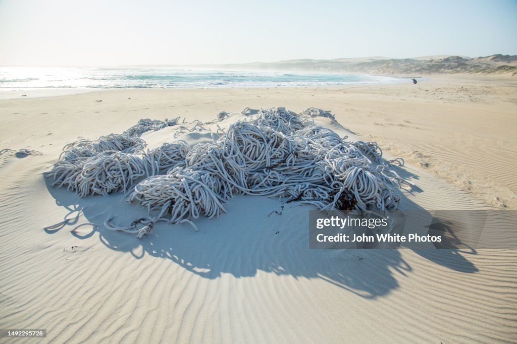Washed Up Rope Ocean Trash Rubbish A Pile Of Rope Washed Up On A Beach In Lincoln ...