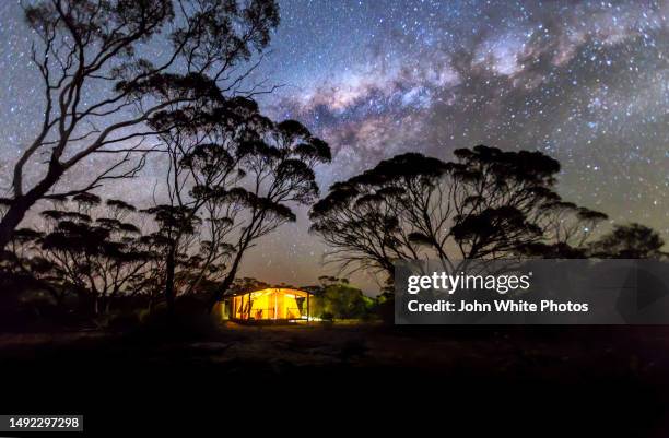 tent at night with milky way and night sky. gawler ranges. eyre peninsula. south australia. - night safari stock pictures, royalty-free photos & images