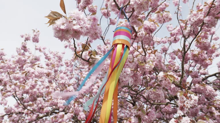 Spring Time Winds 24 Homemade Windchime Stock Videos, Footage, & 4K Video Clips - Getty ...