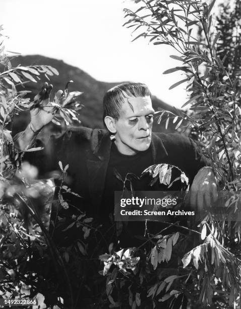 Boris Karloff as Frankenstein's Monster hiding in bushes, 1930s.