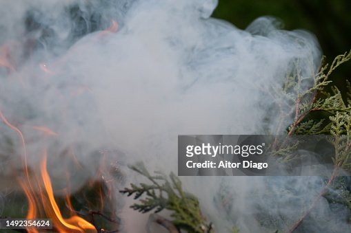 Close-up of smoke and some flames of firebombing from a burning  bush.