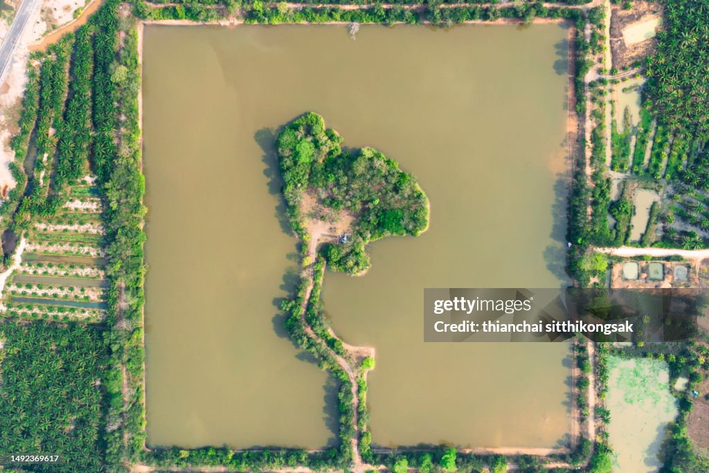 The Virtual of Thailand country Island