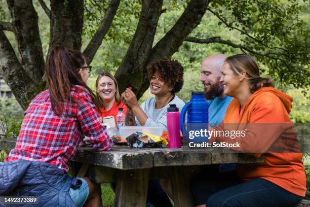 picnic in the countryside - lunch bag stock pictures, royalty-free photos & images