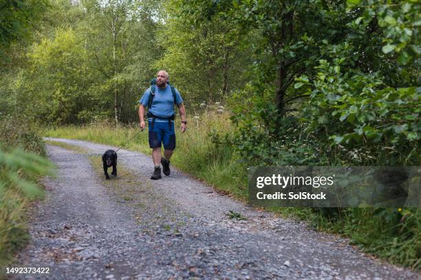 a man's best friend - august dog stock pictures, royalty-free photos & images