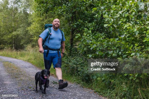 man enjoying nature with his dog - august dog stock pictures, royalty-free photos & images