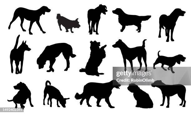 illustrazioni stock, clip art, cartoni animati e icone di tendenza di silhuettes per cani - cane di razza