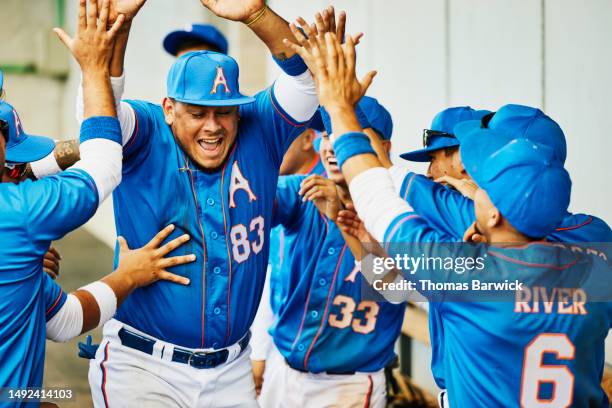 medium shot baseball team celebrating in dugout after winning game - baseball team celebration stock pictures, royalty-free photos & images