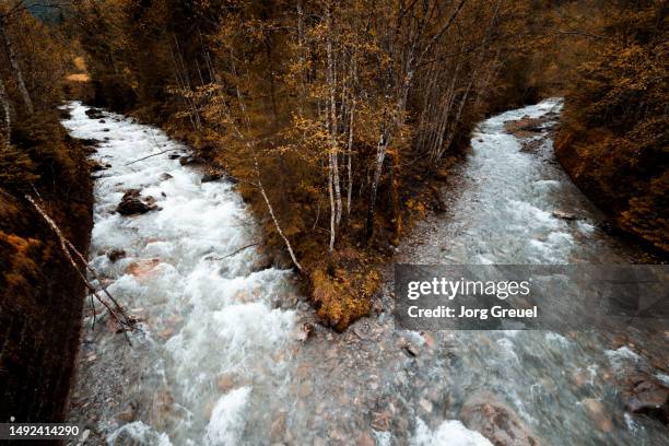 Merging Visual River 356 Merging Streams Stock Photos, High-Res Pictures, and Images - Getty ...