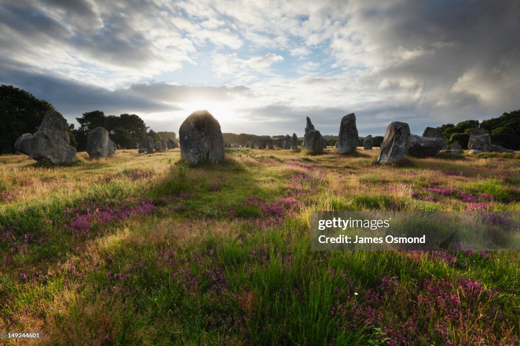 Alignements de Kermario.