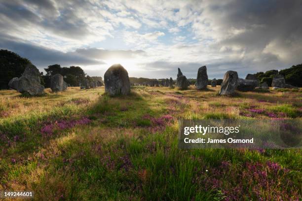 alignements de kermario. - carnac stock pictures, royalty-free photos & images