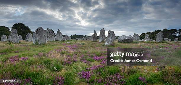 alignements de kermario. - carnac stock pictures, royalty-free photos & images