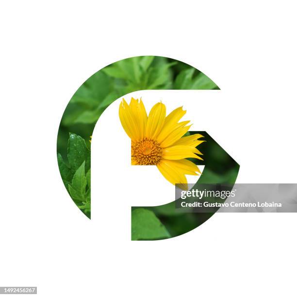 g flower logo - g stock-fotos und bilder