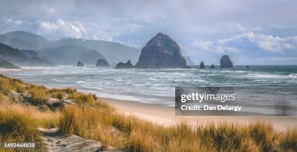 haystack rock at cannon beach - cannon beach bildbanksfoton och bilder