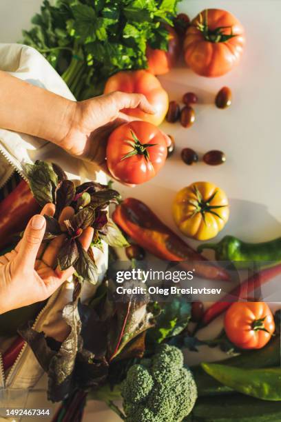 female hand holding fresh basil and tomato. heap of vegetables from rustic market on table, top view. - colorful vegetables summer stock-fotos und bilder