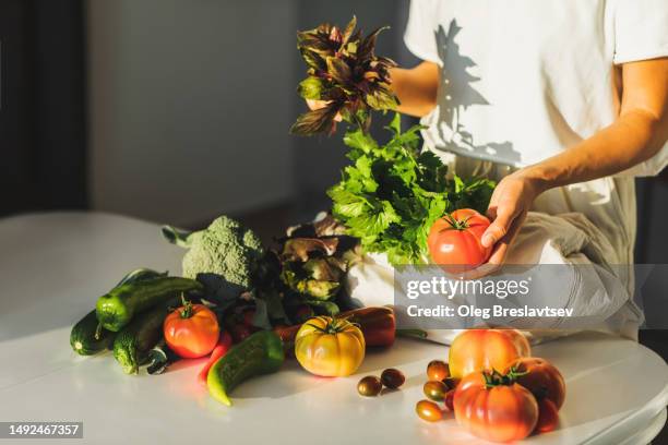 female hand holding fresh basil and tomato. shopping bag on table with heap of vegetables from rustic market. - colorful vegetables summer stock-fotos und bilder