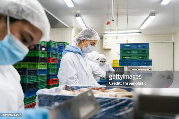 group of workers working in the production line at a fish factory - food factory stock pictures, royalty-free photos & images