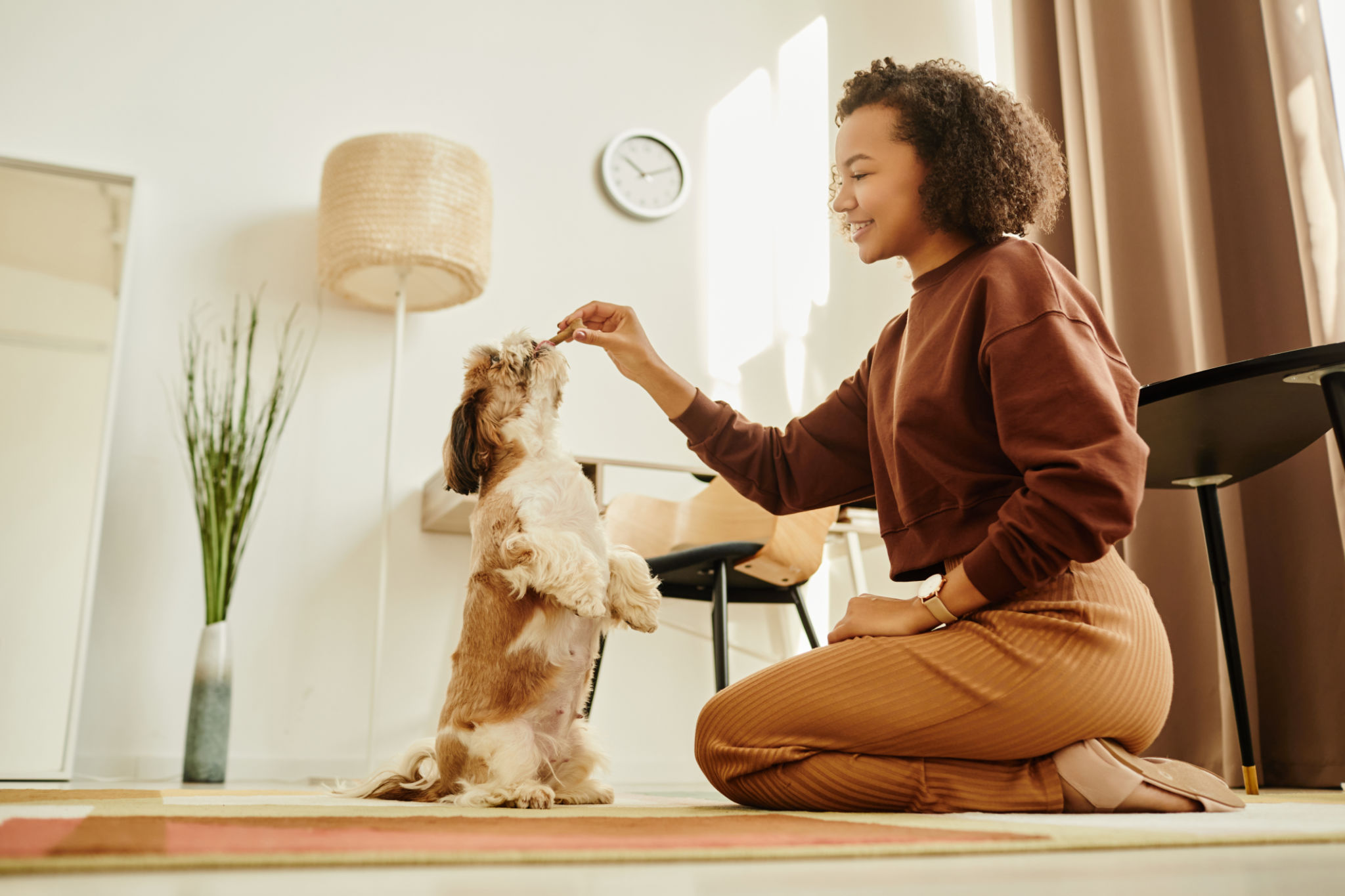 training small dogs