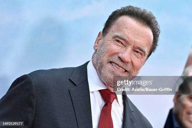 3,617 Schwarzenegger Headshot Stock Photos, High-Res Pictures, and