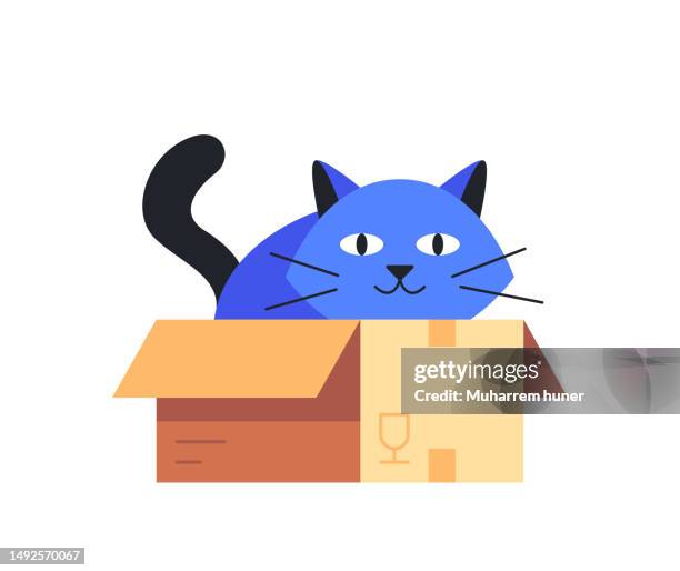 cat in the box vector illustration. - cat in box stock illustrations