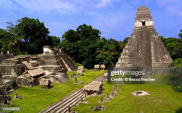 tikal ruins, guatemala - tikal stock pictures, royalty-free photos & images