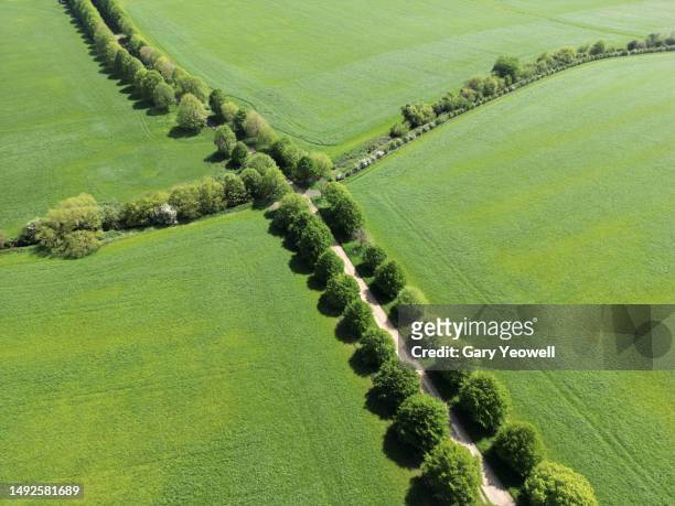 aerial view over patterns of trees and fields - journey stock pictures, royalty-free photos & images