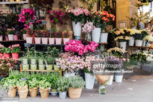 flower bouquets for sale on the street at the flower shop, paris, france - alexander rosen stock-fotos und bilder