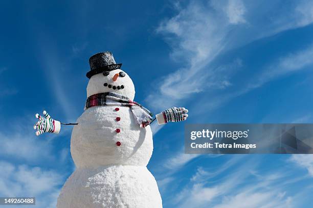 usa, new jersey, jersey city, snowman under blue sky - sneeuwpop stockfoto's en -beelden