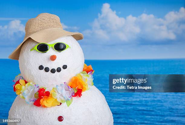 snowman at sea - winter snowman stock pictures, royalty-free photos & images