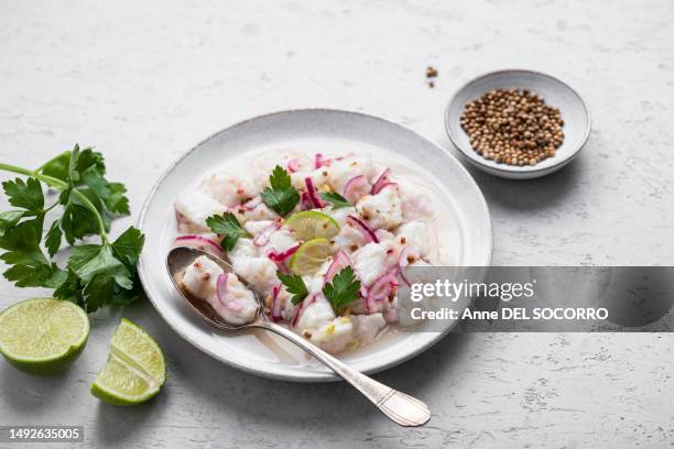 fresh cod ceviche fish lime pepper onion coriander - cultura peruana fotografías e imágenes de stock