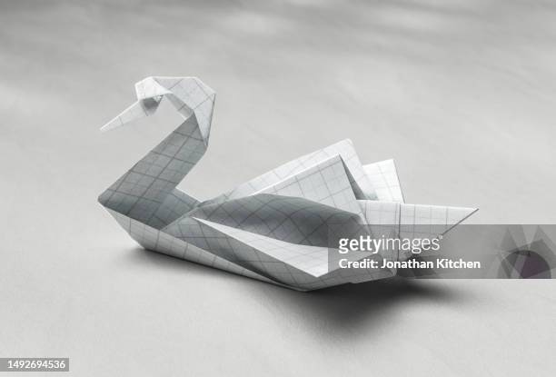a swan on a water 2 - paper sculpture stock pictures, royalty-free photos & images