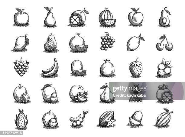 ilustraciones, imágenes clip art, dibujos animados e iconos de stock de frutas dibujado a mano vector doodle line icon set - fruta de cactus