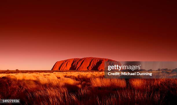 uluru, ayers rock, australia - sandstein stock-fotos und bilder