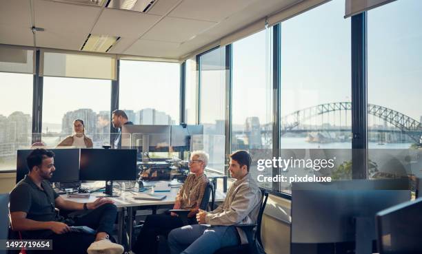 colleagues from diverse backgrounds working together harmoniously in an australian office. - australasia stock pictures, royalty-free photos & images