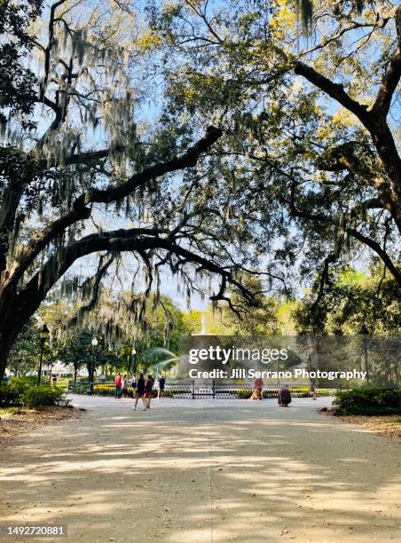 fountain at forsyth park - georgia serrano stock pictures, royalty-free photos & images