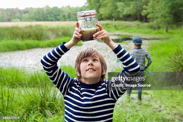 boy looking at tadpoles in jar - tadpole stock pictures, royalty-free photos & images