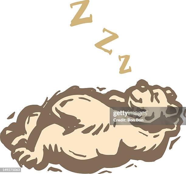a bear taking a nap - animal lying on back stock illustrations