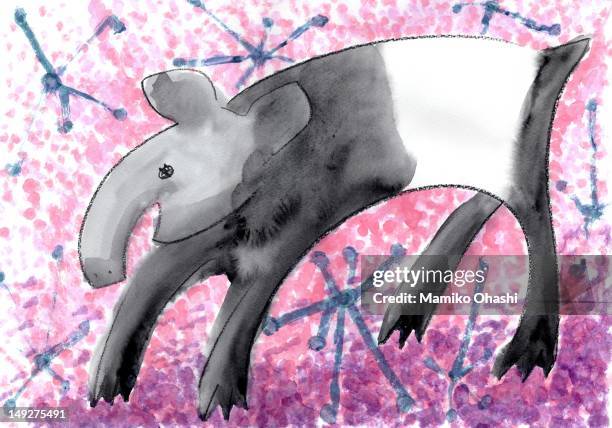 an aardvark - aardvark nose stock illustrations