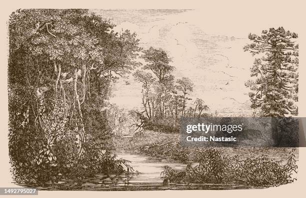 an ideal landscape of the lignite period - triassic landscape stock illustrations